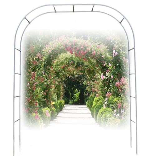 Rosenbogen Edelstahl, Kletterpflanzen Rankhilfe, Garten Rankhilfen Rosenbogen für Kletterpflanzen, Garten Wachsen Unterstützung, für Pergola Hochzeitsbogen Rankhilfe Rosen(25mm with base,W 1.5M x H 2. Rosenbogen Edelstahl, Kletterpflanzen Rankhilfe, Garten Rankhilfen Rosenbogen für Kletterpflanzen, Garten Wachsen Unterstützung, für Pergola Hochzeitsbogen Rankhilfe Rosen(25mm with base,W 1.5M x H 2. von NEPHRA