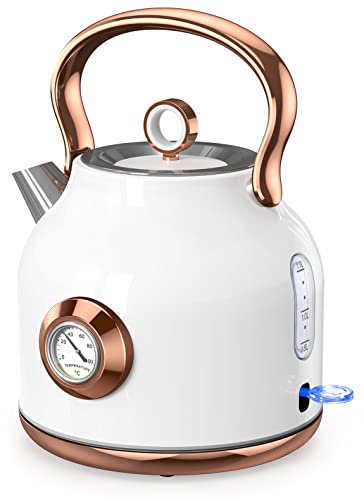 NESSGRAIM Retro Wasserkocher, 1,7L Edelstahl-Teekessel mit Großer Temperaturanzeige, 2200W Schnell Aufheizender Heißwasserboiler mit LED-Indikator, Automatischer Abschaltung（ weiss） von NESSGRAIM