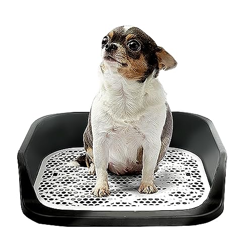 Toilette für Hunde, tragbar, mit Tablett für Haus, Welpen, Balkon, Toilette für Hunde, Teddy Chihuahua, 50 x 40 cm (schwarz) von NETHIX
