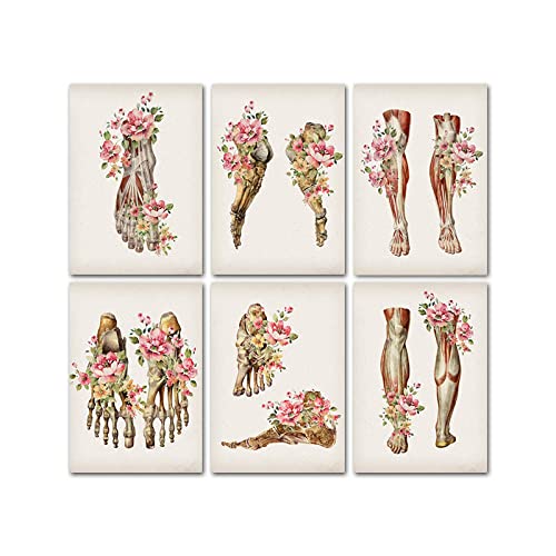NETIVA bilder Wandkunst Skeletal Muscle Art Canvas Painting Floral Foot Bone Poster Print Hospital Picture Modern Decoration-30X40Cmx6 ohne Rahmen von NETIVA