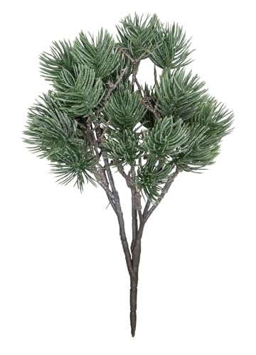 NETPROSHOP Buschiger Kiefernzweig Länge ca. 21 cm cm künstlicher Zweig NETPROSHOP Buschiger Kiefernzweig Länge ca. 21 cm cm künstlicher Zweig von NETPROSHOP