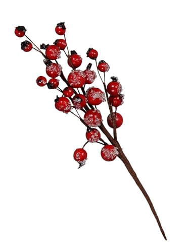 NETPROSHOP Deko Beerenzweig geeist rot Länge ca. 25 cm künstliche Beeren NETPROSHOP Deko Beerenzweig geeist rot Länge ca. 25 cm künstliche Beeren von NETPROSHOP