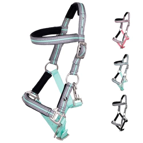 NETPROSHOP Fohlenhalfter Flore mit Stirnband weich gepolstert und verstellbar Falabella Shetty Pony Full, Groesse:Fohlen Full, Farbe:Ice Green von NETPROSHOP
