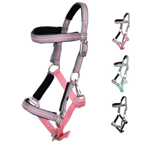 NETPROSHOP Fohlenhalfter Flore mit Stirnband weich gepolstert und verstellbar Falabella Shetty Pony Full, Groesse:Fohlen Shetty, Farbe:Pink NETPROSHOP Fohlenhalfter Flore mit Stirnband weich gepolstert und verstellbar Falabella Shetty Pony Full, Groesse:Fohlen Shetty, Farbe:Pink von NETPROSHOP