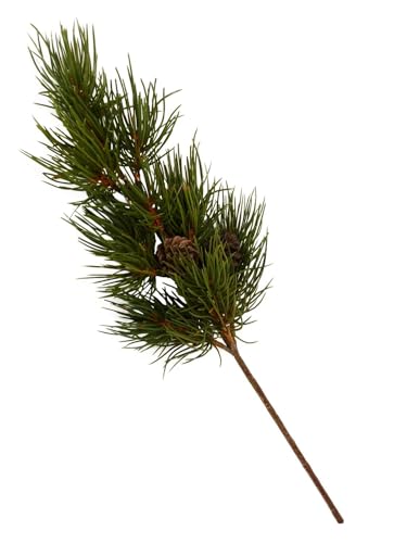 NETPROSHOP Großer Pinienzweig mit kleinen Zapfen Länge ca. 48 cm cm künstlicher Zweig NETPROSHOP Großer Pinienzweig mit kleinen Zapfen Länge ca. 48 cm cm künstlicher Zweig von NETPROSHOP