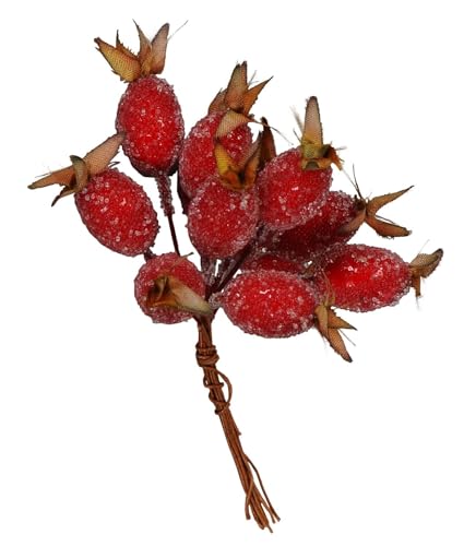 NETPROSHOP Hagebuttenpick bezuckert bestehend aus 1 Bündel mit 12 Beeren Länge ca. 10 cm von NETPROSHOP