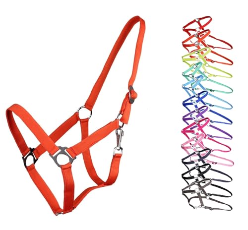 NETPROSHOP Halfter ODER Führstrick Einfarbig für Ihre Lieblinge Mini Shetty bis XL Full, Groesse:Pony, Farbe:Orange NETPROSHOP Halfter ODER Führstrick Einfarbig für Ihre Lieblinge Mini Shetty bis XL Full, Groesse:Pony, Farbe:Orange von NETPROSHOP