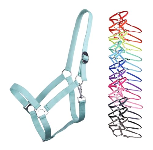 NETPROSHOP Halfter ODER Führstrick Einfarbig für Ihre Lieblinge Mini Shetty bis XL Full, Groesse:Shetty, Farbe:Ice Green von NETPROSHOP