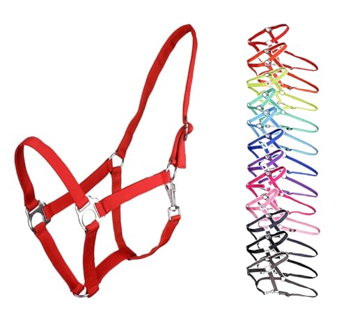NETPROSHOP Halfter ODER Führstrick Einfarbig für Ihre Lieblinge Mini Shetty bis XL Full, Groesse:Pony, Farbe:Rot NETPROSHOP Halfter ODER Führstrick Einfarbig für Ihre Lieblinge Mini Shetty bis XL Full, Groesse:Pony, Farbe:Rot von NETPROSHOP