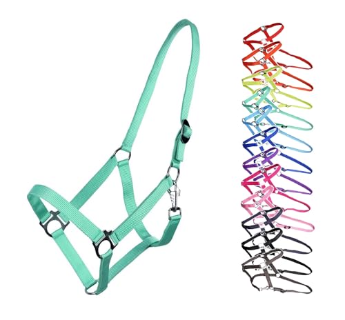 NETPROSHOP Halfter ODER Führstrick Einfarbig für Ihre Lieblinge Mini Shetty bis XL Full, Groesse:Pony, Farbe:Tuerkis NETPROSHOP Halfter ODER Führstrick Einfarbig für Ihre Lieblinge Mini Shetty bis XL Full, Groesse:Pony, Farbe:Tuerkis von NETPROSHOP