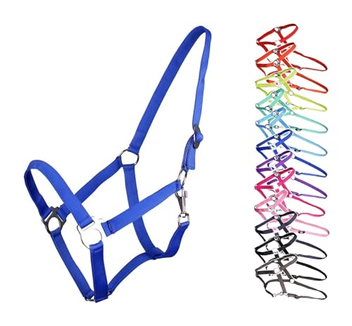 NETPROSHOP Halfter ODER Führstrick Einfarbig für Ihre Lieblinge Mini Shetty bis XL Full, Groesse:Shetty, Farbe:Blau von NETPROSHOP