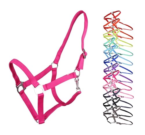 NETPROSHOP Halfter ODER Führstrick Einfarbig für Ihre Lieblinge Mini Shetty bis XL Full, Groesse:Shetty, Farbe:Pink NETPROSHOP Halfter ODER Führstrick Einfarbig für Ihre Lieblinge Mini Shetty bis XL Full, Groesse:Shetty, Farbe:Pink von NETPROSHOP