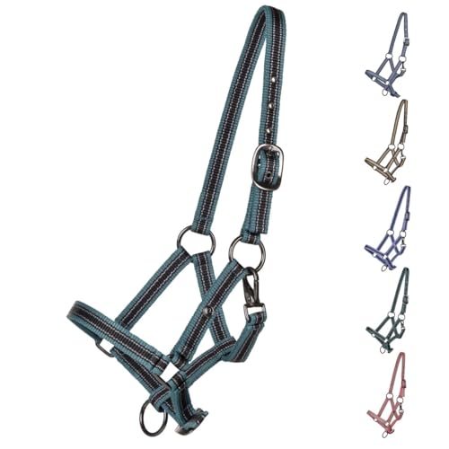 NETPROSHOP Jährlingshalfter Halfter für Jährlinge im Wachstum 2-Fach leicht verstellbar, Farbe:Ocean Breeze NETPROSHOP Jährlingshalfter Halfter für Jährlinge im Wachstum 2-Fach leicht verstellbar, Farbe:Ocean Breeze von NETPROSHOP