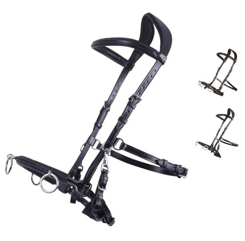 NETPROSHOP Leder Kappzaum Longierhilfe für Bodenarbeit Schwarz Größe Pony Cob Full XFull, Groesse:XL Full, Farbe:Schwarz von NETPROSHOP