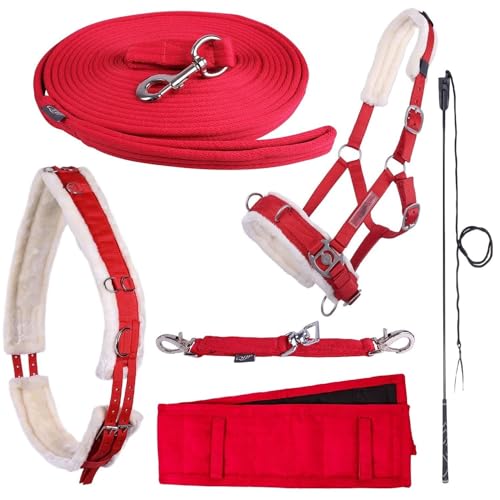 NETPROSHOP Longieren Zubehör Farbe Rot Wählen Sie: Zaum, Longe, Pad oder Gurt usw., Auswahl:Longierpad, Groesse:Full NETPROSHOP Longieren Zubehör Farbe Rot Wählen Sie: Zaum, Longe, Pad oder Gurt usw., Auswahl:Longierpad, Groesse:Full von NETPROSHOP