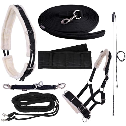 NETPROSHOP Longieren Zubehör Farbe Schwarz Wählen Sie: Zaum, Longe, Pad oder Gurt usw., Auswahl:Longierhilfe, Groesse:Full NETPROSHOP Longieren Zubehör Farbe Schwarz Wählen Sie: Zaum, Longe, Pad oder Gurt usw., Auswahl:Longierhilfe, Groesse:Full von NETPROSHOP