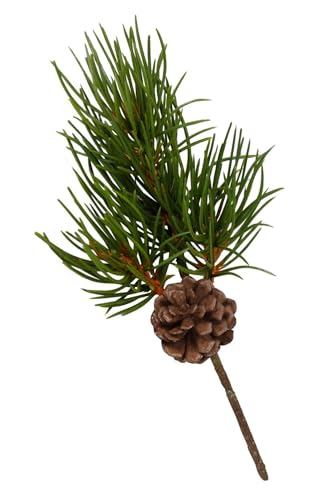 NETPROSHOP Pinienzweig mit Zapfen Länge ca. 23 cm cm künstlicher Zweig NETPROSHOP Pinienzweig mit Zapfen Länge ca. 23 cm cm künstlicher Zweig von NETPROSHOP