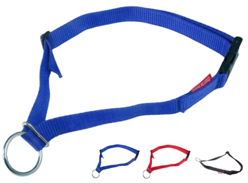 NETPROSHOP Sicherheits-Halsband für Ihr Pferd mit Sicherheitschnalle Nylon, Farbe:Blau von NETPROSHOP