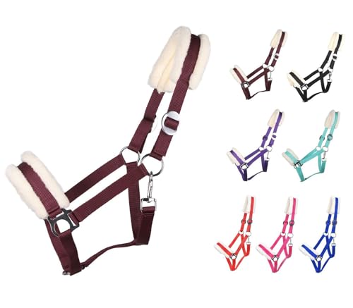 NETPROSHOP Solides Pferdehalfter gepolstert und verstellbar Gr. Mini Shetty bis Full u Kaltblut, Groesse:Full, Farbe:Bordeaux NETPROSHOP Solides Pferdehalfter gepolstert und verstellbar Gr. Mini Shetty bis Full u Kaltblut, Groesse:Full, Farbe:Bordeaux von NETPROSHOP