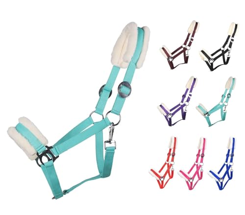 NETPROSHOP Solides Pferdehalfter gepolstert und verstellbar Gr. Mini Shetty bis Full u Kaltblut, Groesse:Mini Shetty, Farbe:Tuerkis NETPROSHOP Solides Pferdehalfter gepolstert und verstellbar Gr. Mini Shetty bis Full u Kaltblut, Groesse:Mini Shetty, Farbe:Tuerkis von NETPROSHOP