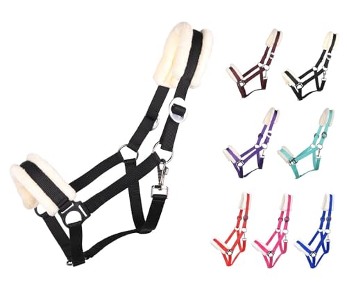 NETPROSHOP Solides Pferdehalfter gepolstert und verstellbar Gr. Mini Shetty bis Full u Kaltblut, Groesse:Shetty, Farbe:Schwarz NETPROSHOP Solides Pferdehalfter gepolstert und verstellbar Gr. Mini Shetty bis Full u Kaltblut, Groesse:Shetty, Farbe:Schwarz von NETPROSHOP