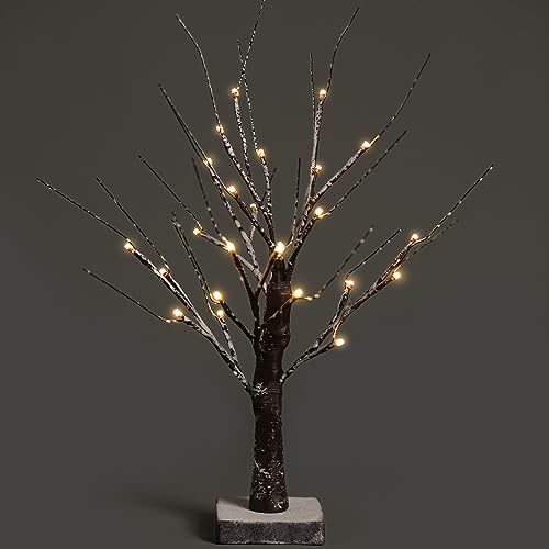 NETTA Zweig Birke Schnee Effekt mit Lichtern Weihnachtsbaum Ornament Vorbeleuchtet mit 24 warmweißen LEDs – batteriebetriebene Tischdekoration (60 cm) – Braun von NETTA