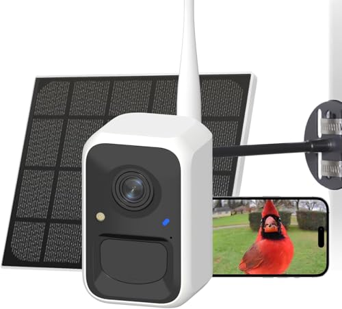 NETVUE Birdfy Intelligente Vogelkamera mit Solarenergie und Verstellbaren Ständern in Jedem Winkel, Erfasst Videos und Empfängt Benachrichtigungen von NETVUE