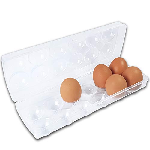 Eierkarton Kunststoff transparent 27x9cm von NEU