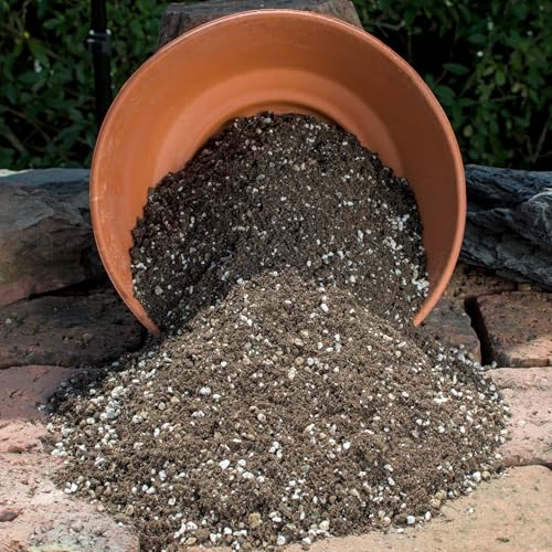 Aussaaterde, Anzuchterde Lophophora 5 Liter von NEUSIUS PFLANZENLICHT