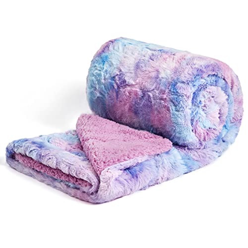 NEWCOSPLAY Superweicher Kunstfell Kuscheldecke hochwertige Sherpa Rückseite Warmer und gemütlicher Sofaüberwurf Decke für Couch und Bett(Lila-Regenbogen, 100 x 130 cm) von NEWCOSPLAY