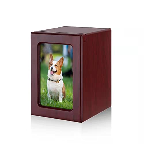 NEWDREAM: Hundeurnen für Asche, Haustierurnen, Box für Hundeasche, Fotobox für Haustierasche, Aschekasten für Hunde, Holz Andenken, Gedenkurnen (rote S), Schwarz von NEWDREAM