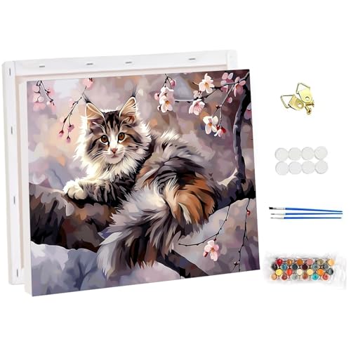 NEWENMO Flauschige Katze Malen Nach Zahlen mit Rahmen,Blumen Paint by Numbers,Tiere Malen Nach Zahlen Erwachsene,DIY Handgemalt Ölgemälde Set mit Pinseln und Acrylfarben,für Heimdekoration 30x40cm von NEWENMO