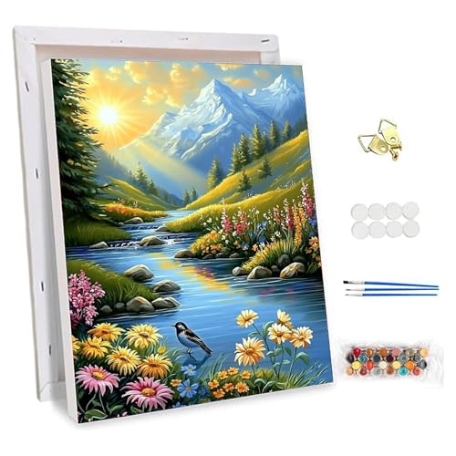 NEWENMO Landschaftsmalerei Malen Nach Zahlen mit Rahmen,Frühlingslandschaft Malen Nach Zahlen Erwachsene,Paint by Numbers,DIY Handgemalt Ölgemälde Set mit Pinseln und Acrylfarben,Home Decor 30x40cm von NEWENMO