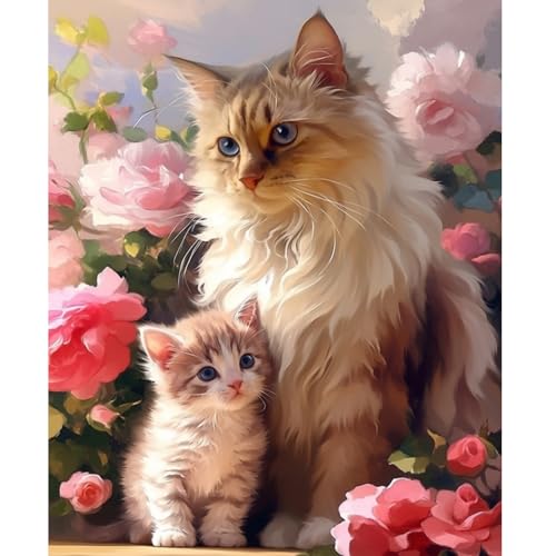 NEWENMO Zwei Niedliche Kätzchen Malen Nach Zahlen Erwachsene,DIY Rosa Rosen Paint by Numbers,Malen Nach Zahlen Kits,DIY Handgemalt Ölgemälde Set mit Pinseln und Acrylfarben,für Home Decor 40x50cm von NEWENMO