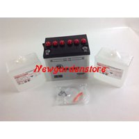 12V 24Ah 12N24-3A Elektro-Rasentraktor-Mäher-Starterbatterie von NEWGARDEN