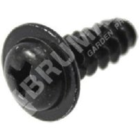 5x14 Schraube für Kettensägen OCS2801C KOMPATIBEL - 017853 von NEWGARDEN