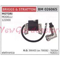 Briggs & Stratton Zündspule 122000 Rasenmäher Rasenmäher 026065 von NEWGARDEN
