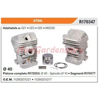Kolben-Zylinder-Segmente STIHL Kettensäge 021 023 025 MS230 R170347 Kolben-Zylinder-Segmente STIHL Kettensäge 021 023 025 MS230 R170347 von NEWGARDEN