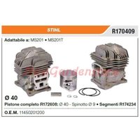 Kolbenstangen-Zylindersegmente STIHL Kettensäge MS201 MS201T R170409 Kolbenstangen-Zylindersegmente STIHL Kettensäge MS201 MS201T R170409 von NEWGARDEN