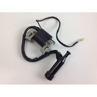 Gtm zündspule für heckenscheren gt 600g und gte 160 ohv motoren 008538 von NEWGARDEN