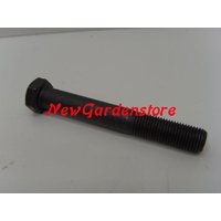 Newgarden - Schraube Klinge Schraube Rasentraktor Rasenmäher 3/8' 70 mm universal 170236 von NEWGARDEN