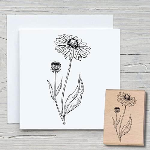 NEWSTAMPS Stempel Echinacea Motivstempel groß aus Holz & Gummi zum Karten basteln, Holzstempel, Blumen, Pflanzen, Floral, Wiese, Gräser, Scrapbook, Textilstempel, Deko, Kinder von NEWSTAMPS DIE STEMPELMACHER