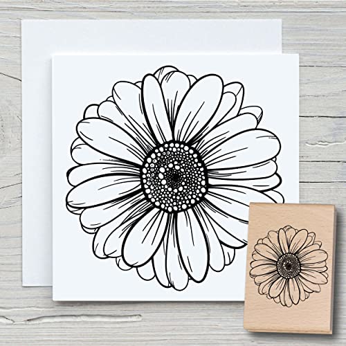 NEWSTAMPS Stempel Gänseblume einzeln Motivstempel groß aus Holz & Gummi zum Karten und Geschenke basteln, Holzstempel für Blumen, Pflanzen, Floral, Scrapbook, Textilstempel, Deko, Kinder von NEWSTAMPS DIE STEMPELMACHER