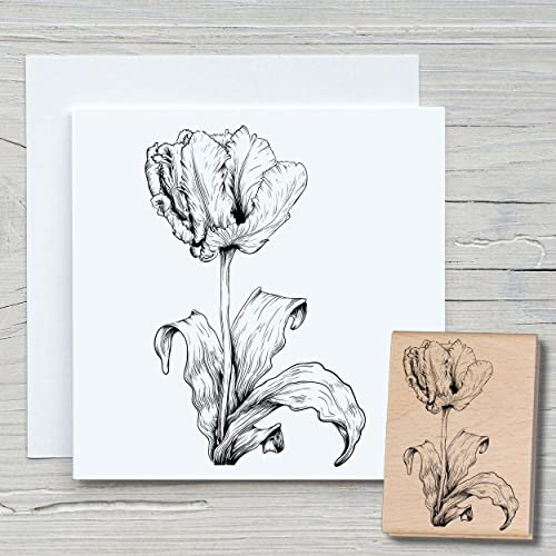 NEWSTAMPS Stempel Tulpe Motivstempel groß aus Holz & Gummi zum Karten basteln, Holzstempel, Blumen, Pflanzen, Floral, Wiese, Gräser, Scrapbook, Textilstempel, Deko, Kinder von NEWSTAMPS DIE STEMPELMACHER