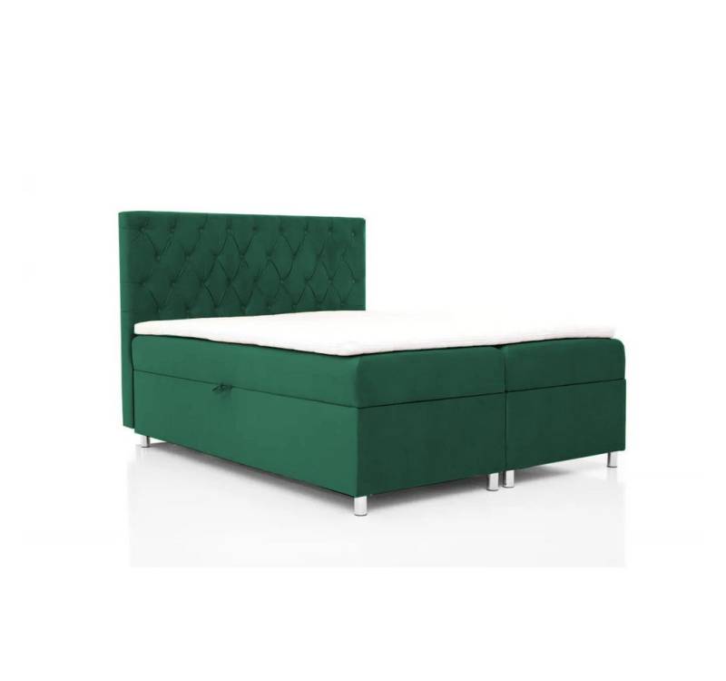 NEXT COLLECTION Bett QUEEN (ELEGANTE STILVOLLE STEPPUNG) von NEXT COLLECTION