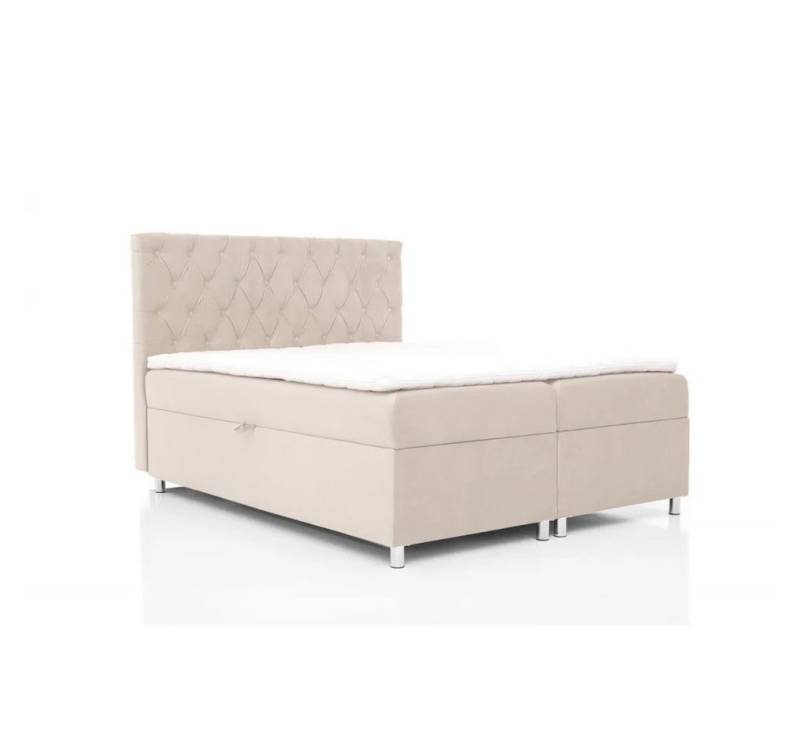 NEXT COLLECTION Bett QUEEN (ELEGANTE STILVOLLE STEPPUNG) von NEXT COLLECTION