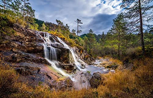 5D-Diamant-Malset zum Selbermachen, Bohrset für Kinder, Naturlandschaft, Wald, Wasserfall, Norwegen, Rogaland, Lenn, Lund, 30 x 40 cm 5D-Diamant-Malset zum Selbermachen, Bohrset für Kinder, Naturlandschaft, Wald, Wasserfall, Norwegen, Rogaland, Lenn, Lund, 30 x 40 cm von NFRAZ