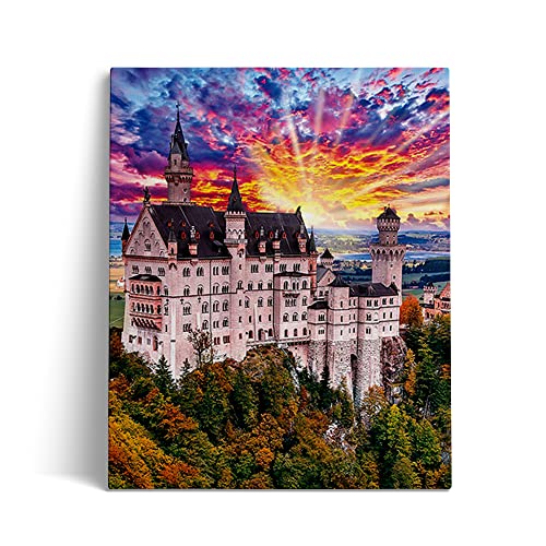 DIY 5D-Diamantmalerei auf Leinwand, Bildnummern-Set, architektonische Landschaft von Schloss Neuschwanstein, Kristall-Strass-Stickerei, Kreuzstich, Kunsthandwerk, Dekor, Diamantmalerei, 30 x 40 cm von NFRAZ