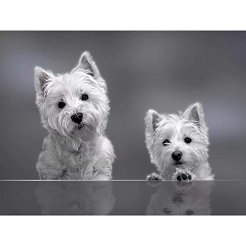 NFRAZ 3D-Strassmalerei, DIY-Diamantmalerei, Westie-Hundemuster, Kreuzstich, Diamantstickerei, Mosaik, Kristall, Wohnkultur, 30 x 40 cm NFRAZ 3D-Strassmalerei, DIY-Diamantmalerei, Westie-Hundemuster, Kreuzstich, Diamantstickerei, Mosaik, Kristall, Wohnkultur, 30 x 40 cm von NFRAZ