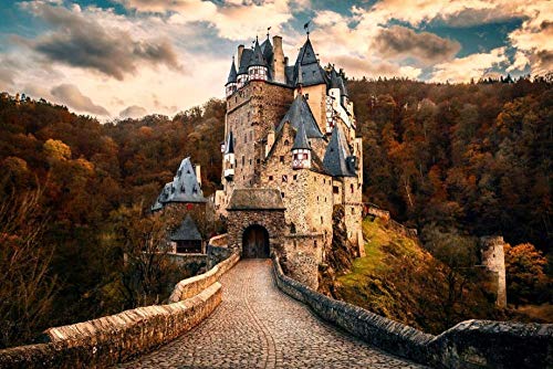 NFRAZ 5D-Diamant-Malset, DIY 5D-Diamant-Malset für Erwachsene und Kinder, Schloss Neuschwanstein, Gemälde, Kreuzstich, Basteln für die Wanddekoration zu Hause, 40 x 50 cm von NFRAZ